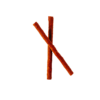 PALITO FLEX CARNE C/05 45g - Image 2