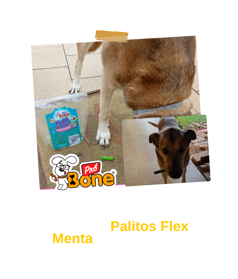 cliente-01.07.psd (1)
