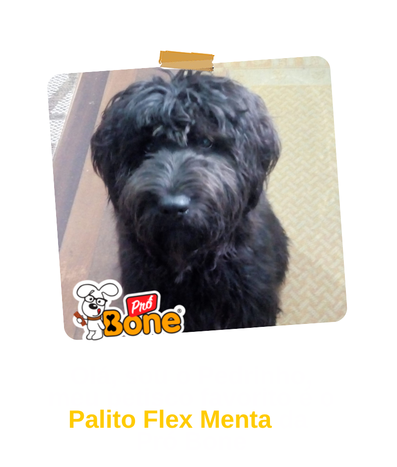 cliente-01.07.psd (2)