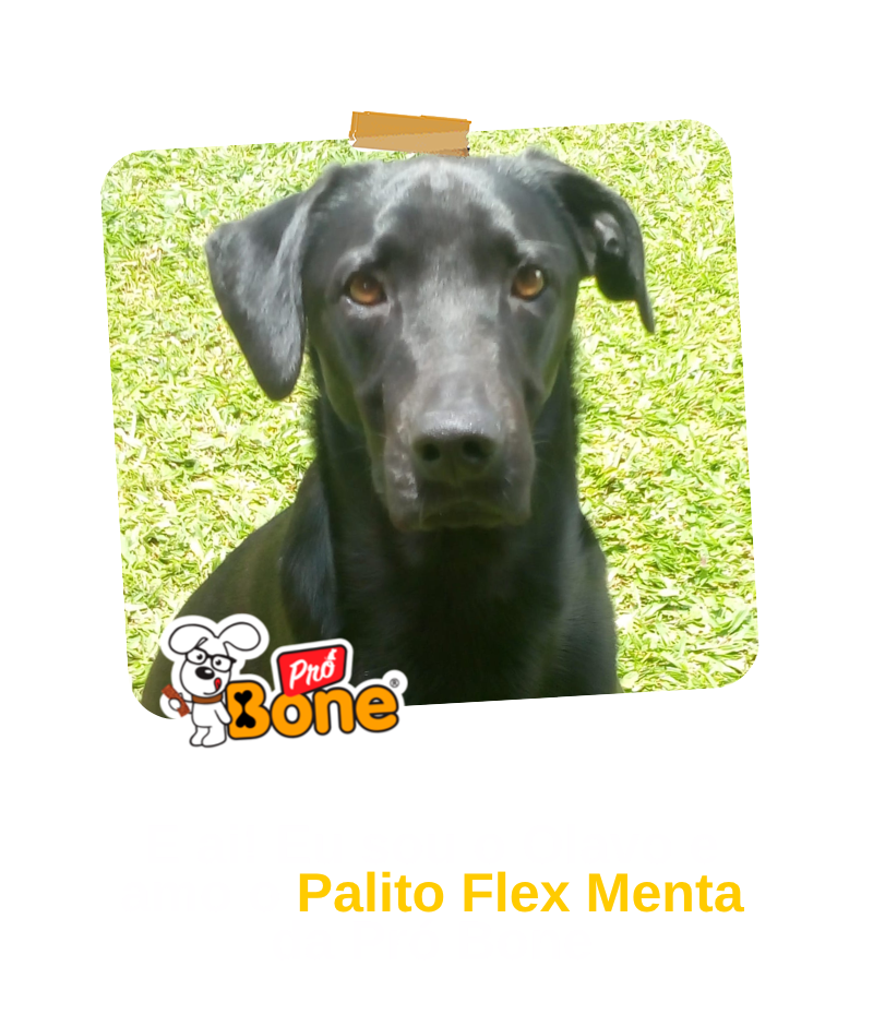 cliente-01.07.psd (3)